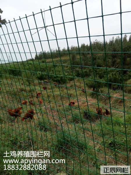 1637630480364499.jpg 未命名-1.jpg