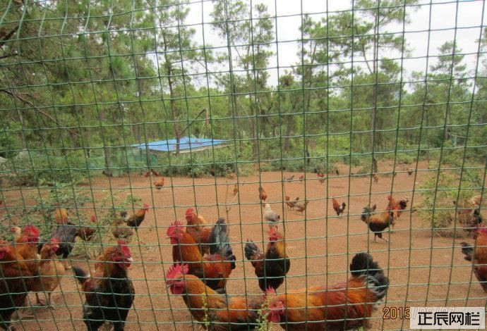 1639701909591097.jpg timg (6).jpg