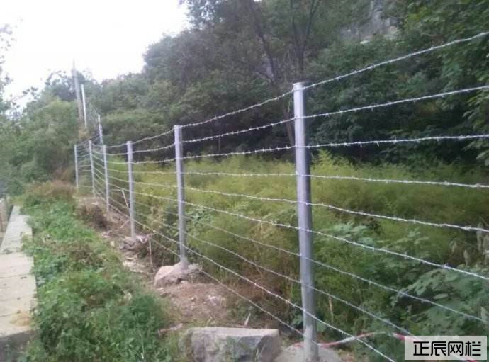 1646727407195963.jpg 刺鐵絲圍欄網