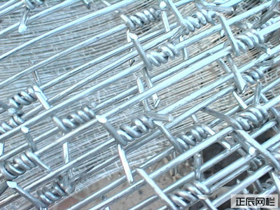 1646727418169115.jpg 刺鐵絲圍欄網