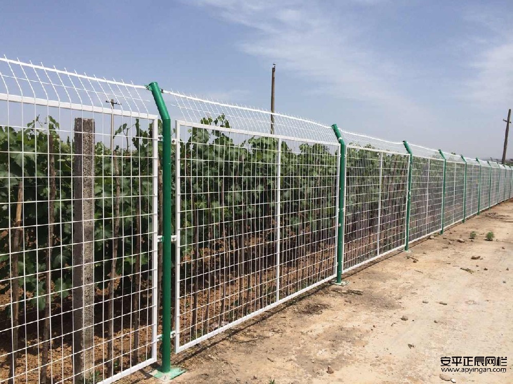 農(nóng)田護(hù)欄網(wǎng)多少錢一米