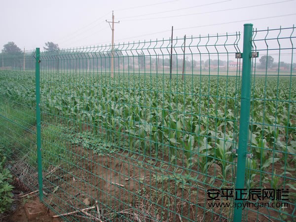 農(nóng)田護(hù)欄網(wǎng)多少錢一米