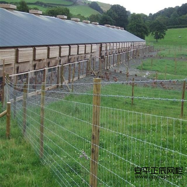 草原圍欄網