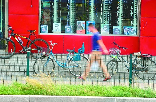 綠化隔離網(wǎng)