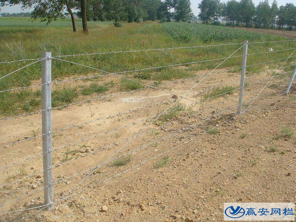 公路護(hù)欄網(wǎng)