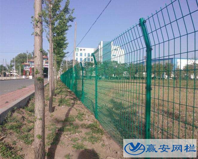 綠色鐵絲圍欄網