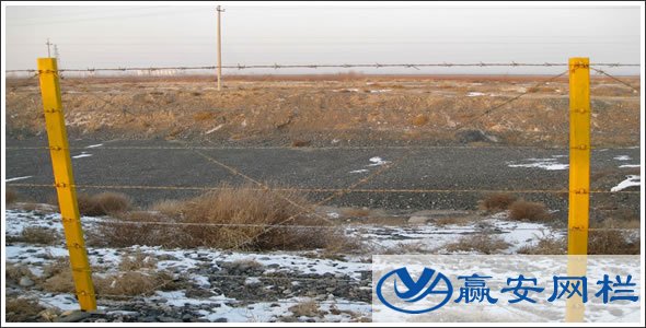 刺繩公路護欄網