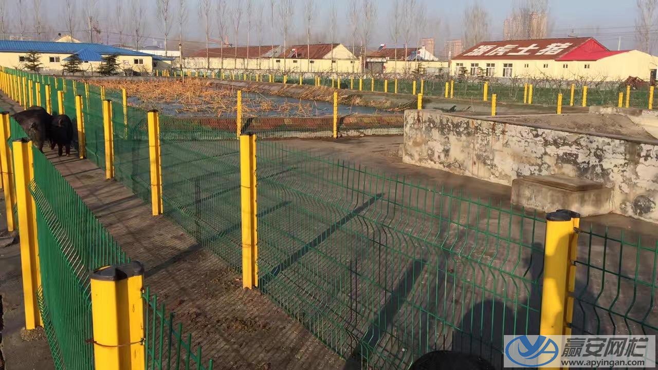 養(yǎng)豬場(chǎng)圍欄網(wǎng)