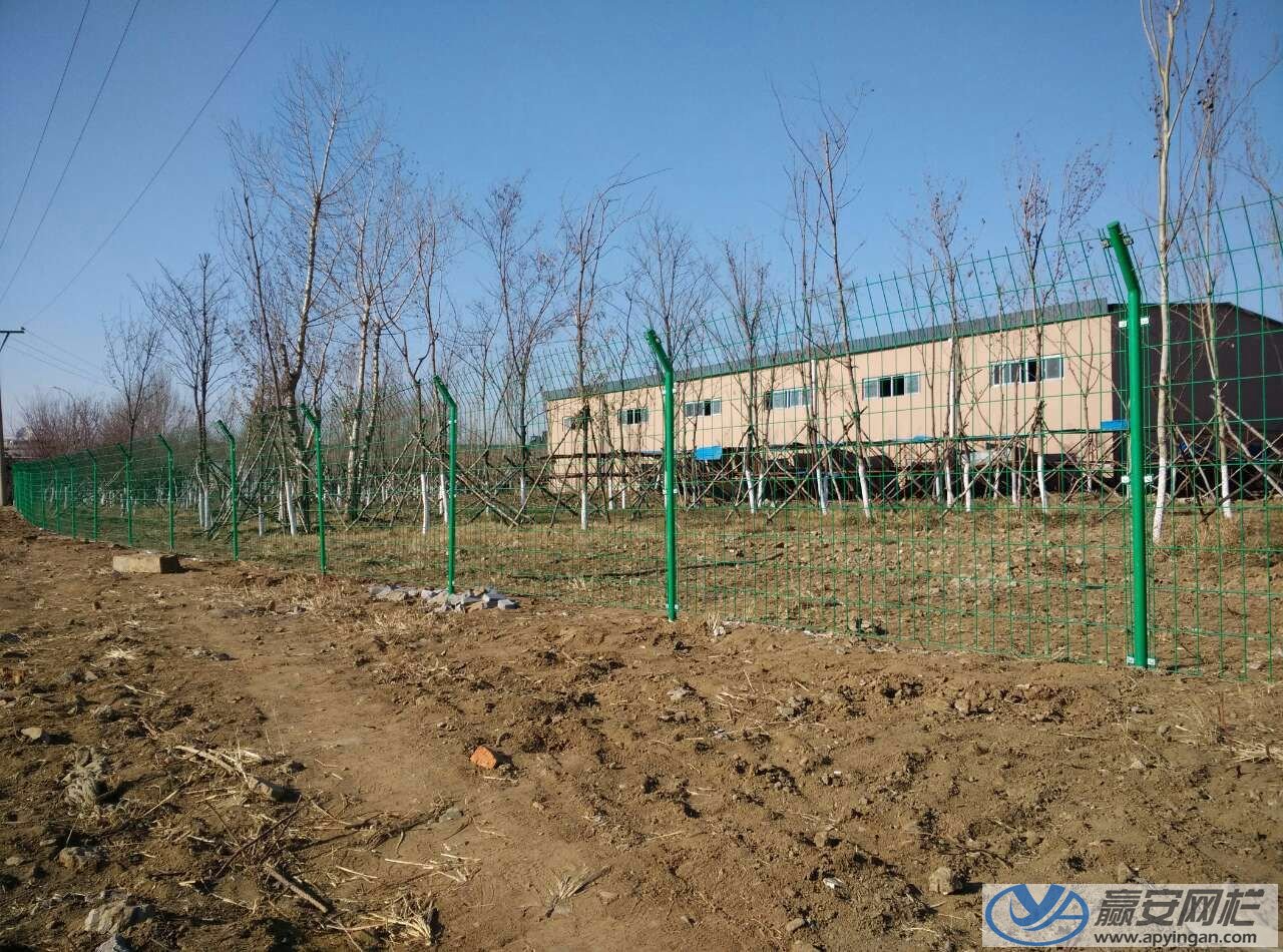 雙邊絲護欄網式養殖圍欄網 養殖圍欄網