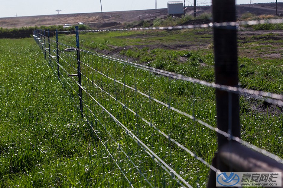 草原牛欄網(wǎng) 草原牛欄網(wǎng)