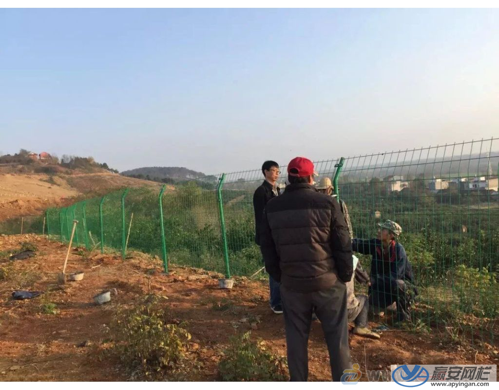 正在修補破損的圍欄網 圍欄網