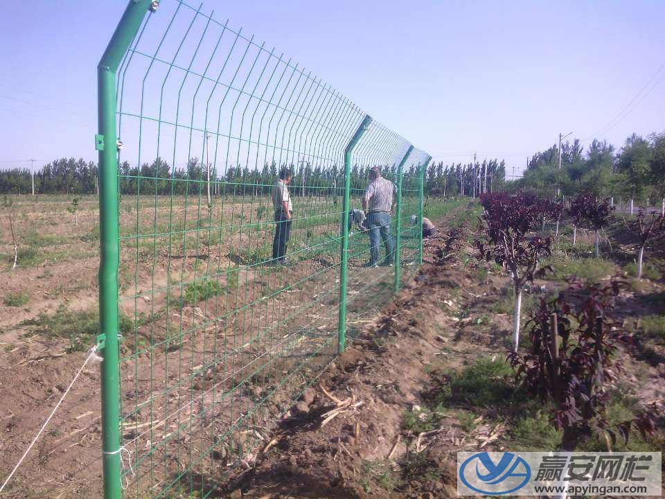 光伏電站防護圍欄 光伏電站防護圍欄