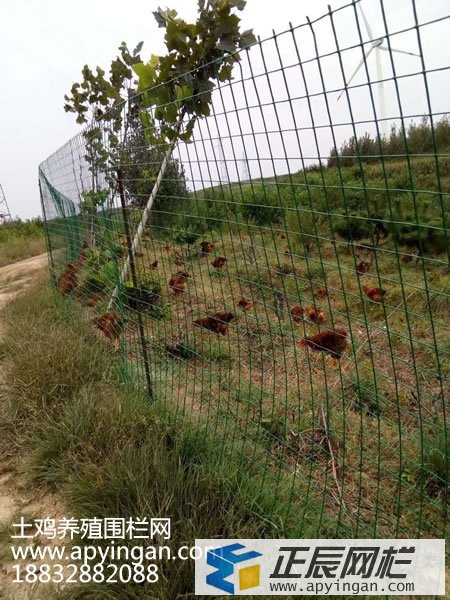 養(yǎng)雞鐵絲網圍欄 養(yǎng)雞鐵絲網圍欄