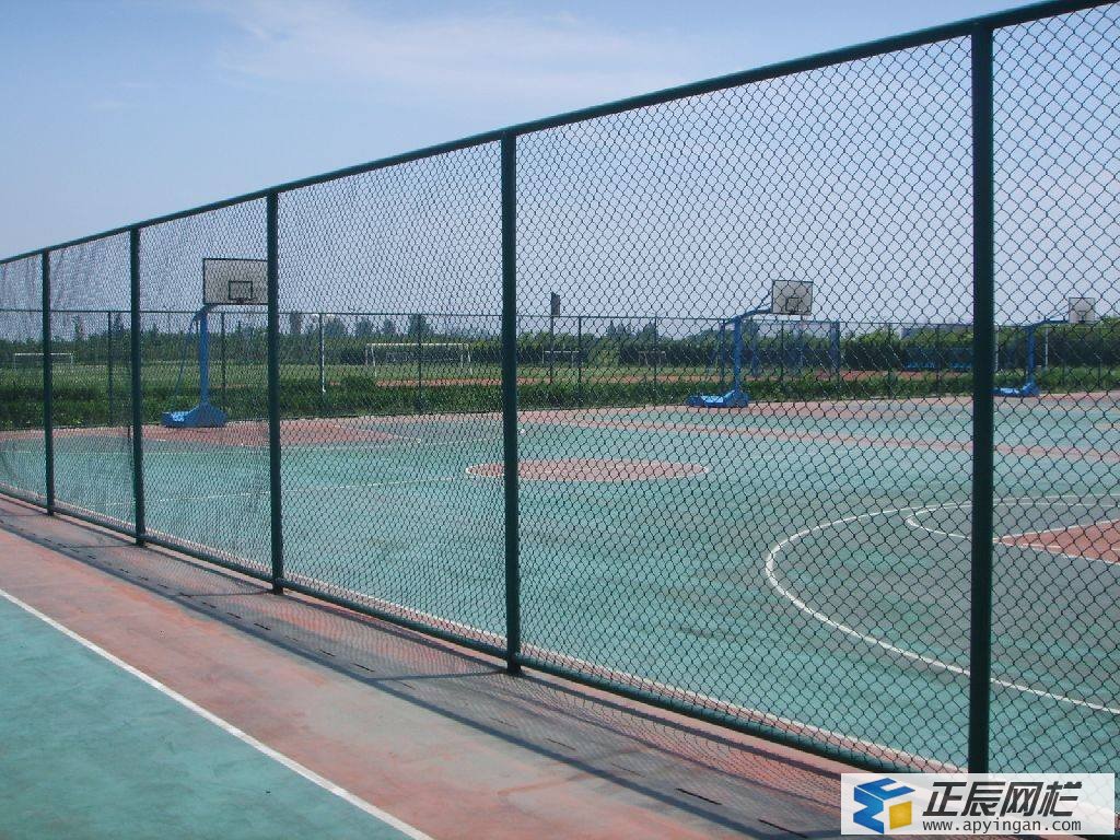 體育場圍欄網