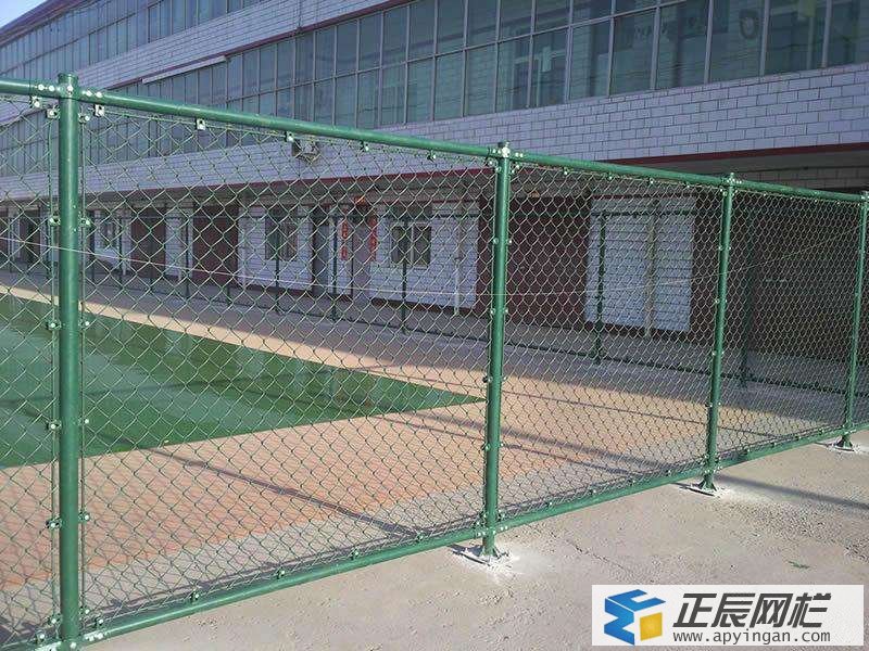 綠色隔離網(wǎng)圖片
