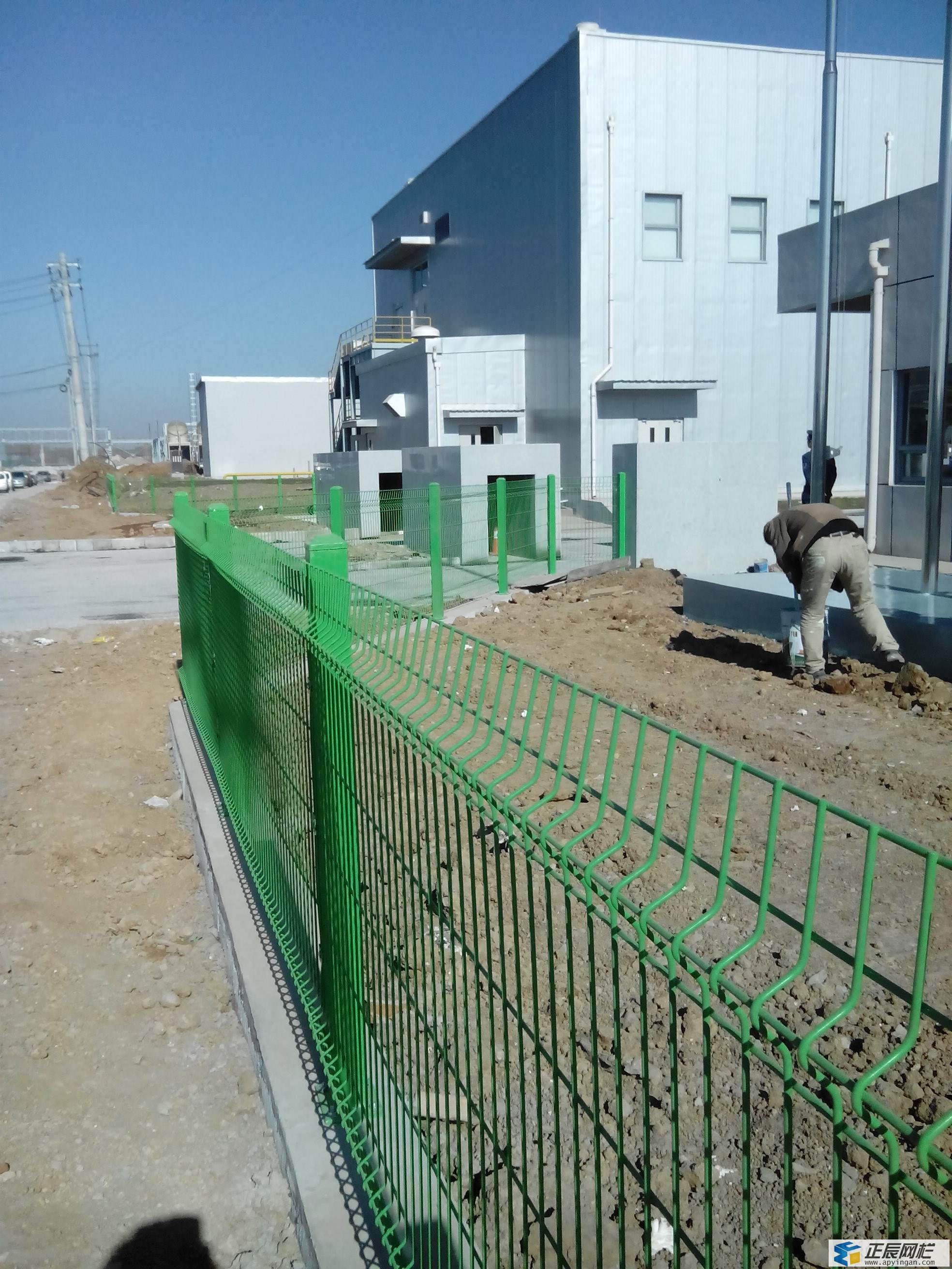 綠色隔離網(wǎng)圖片