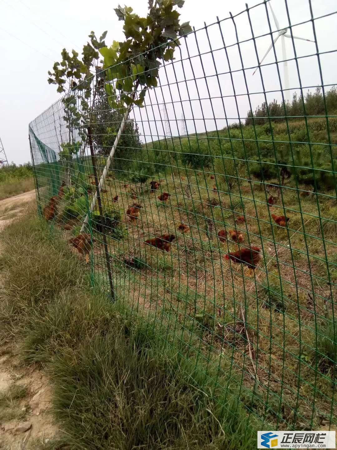 養(yǎng)殖圍欄網(wǎng)