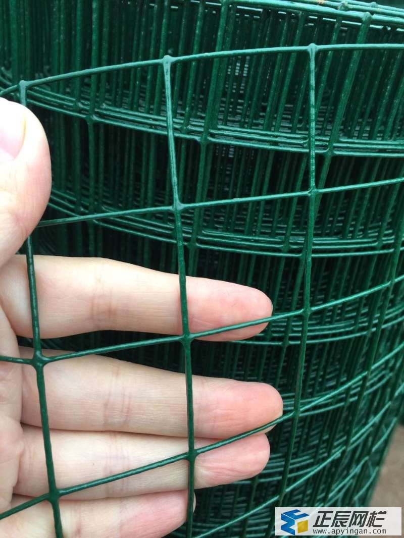 荷蘭網(wǎng) 護欄網(wǎng)