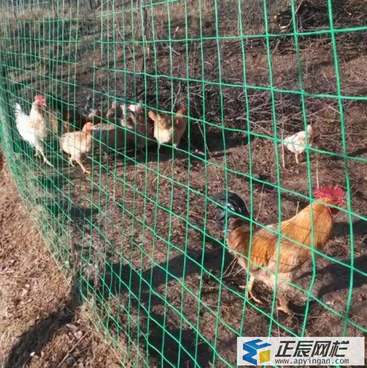 圈地護欄網(wǎng)