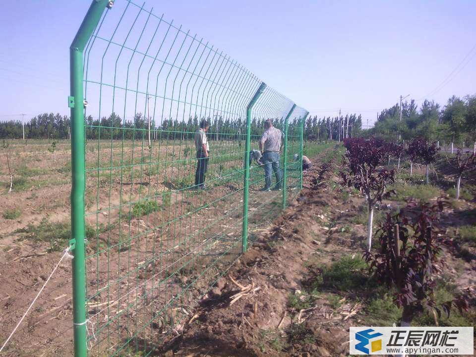 圈地護欄網(wǎng)