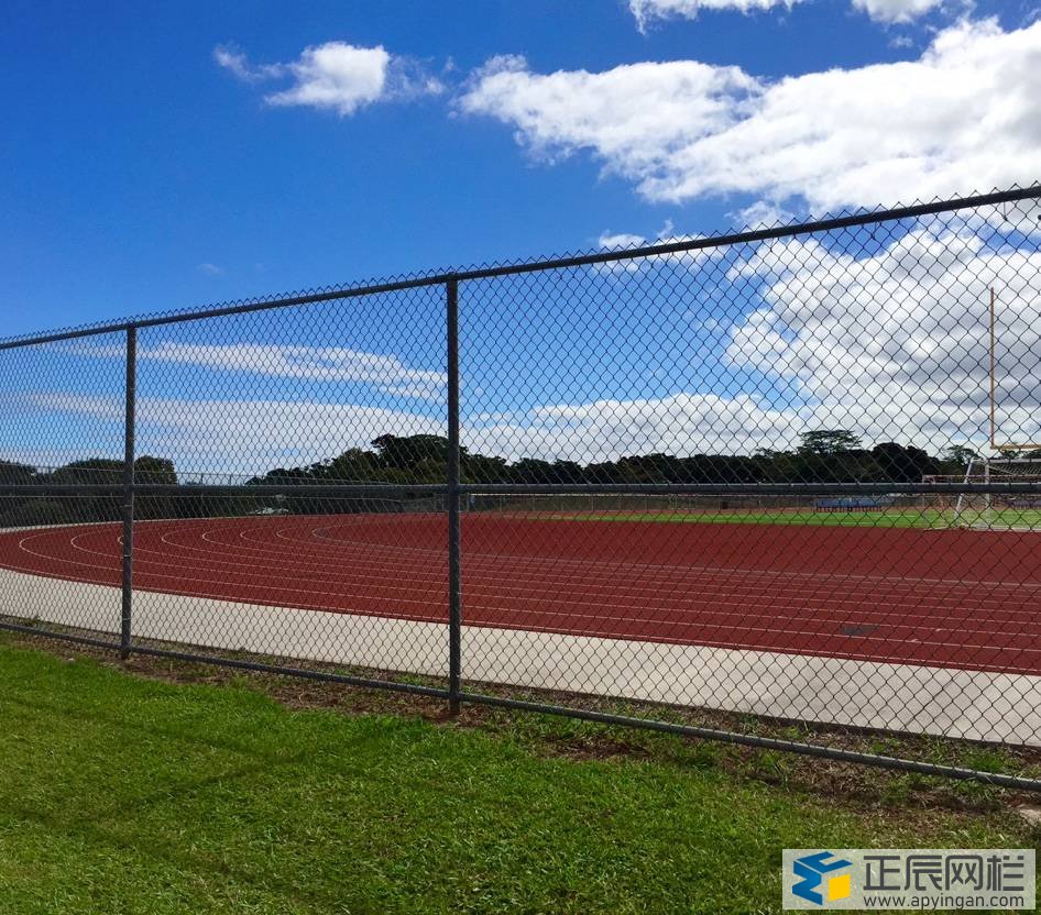 勾花護欄網(wǎng)