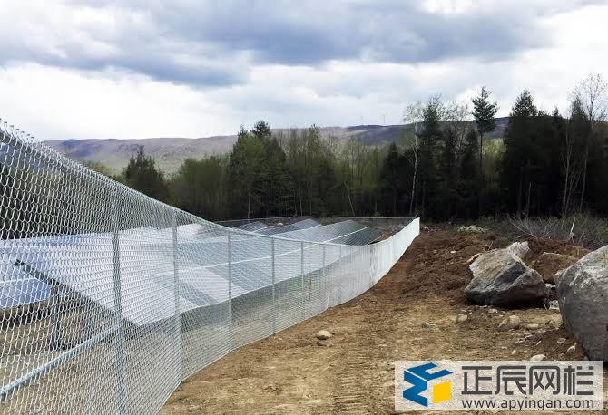 勾花護欄網(wǎng)