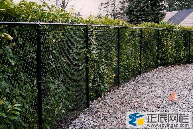 勾花護欄網(wǎng)