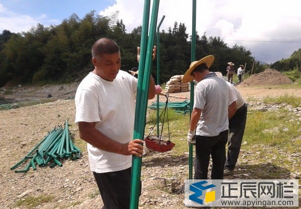 光伏電站圍欄網