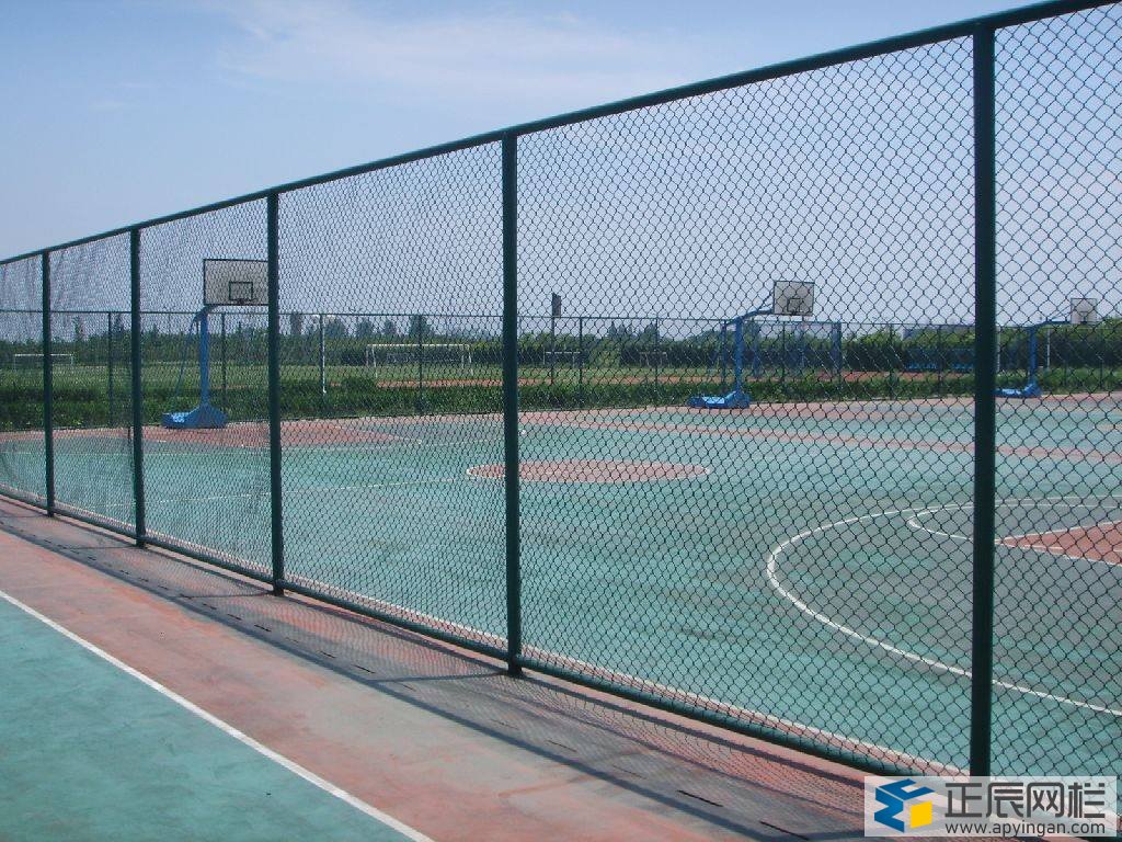 籃球場圍網(wǎng)效果圖