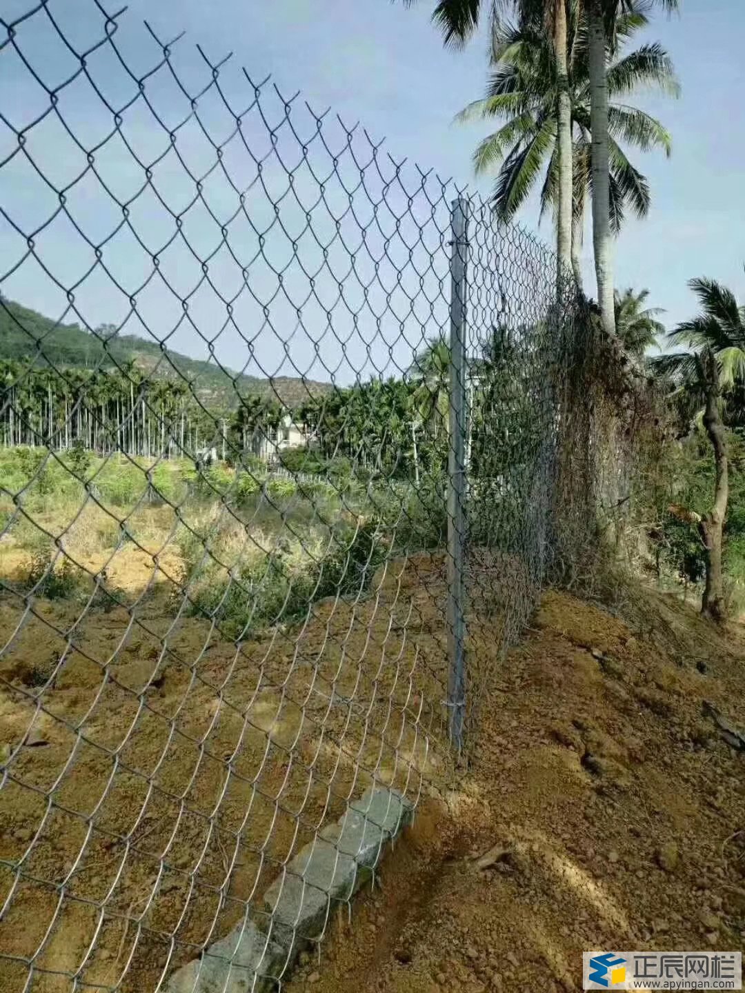 養(yǎng)殖勾花網(wǎng)護(hù)欄