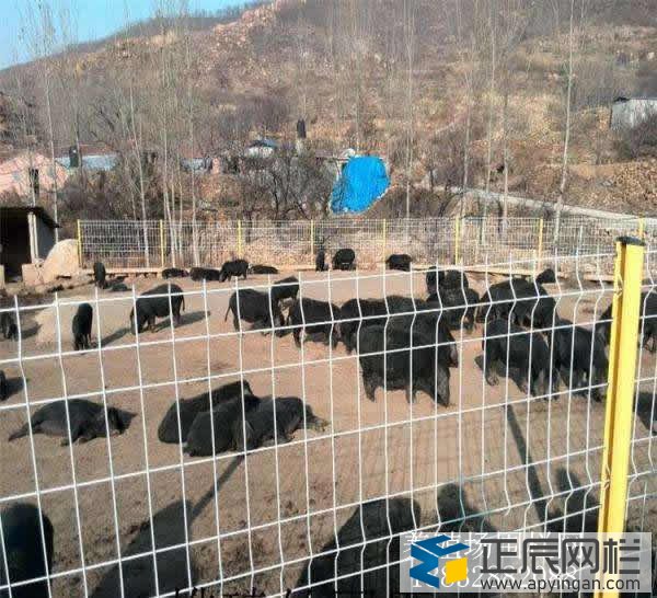 養殖護欄網哪家好