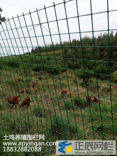 養殖鐵絲網圍欄