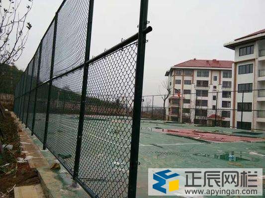 拉球場圍網標準