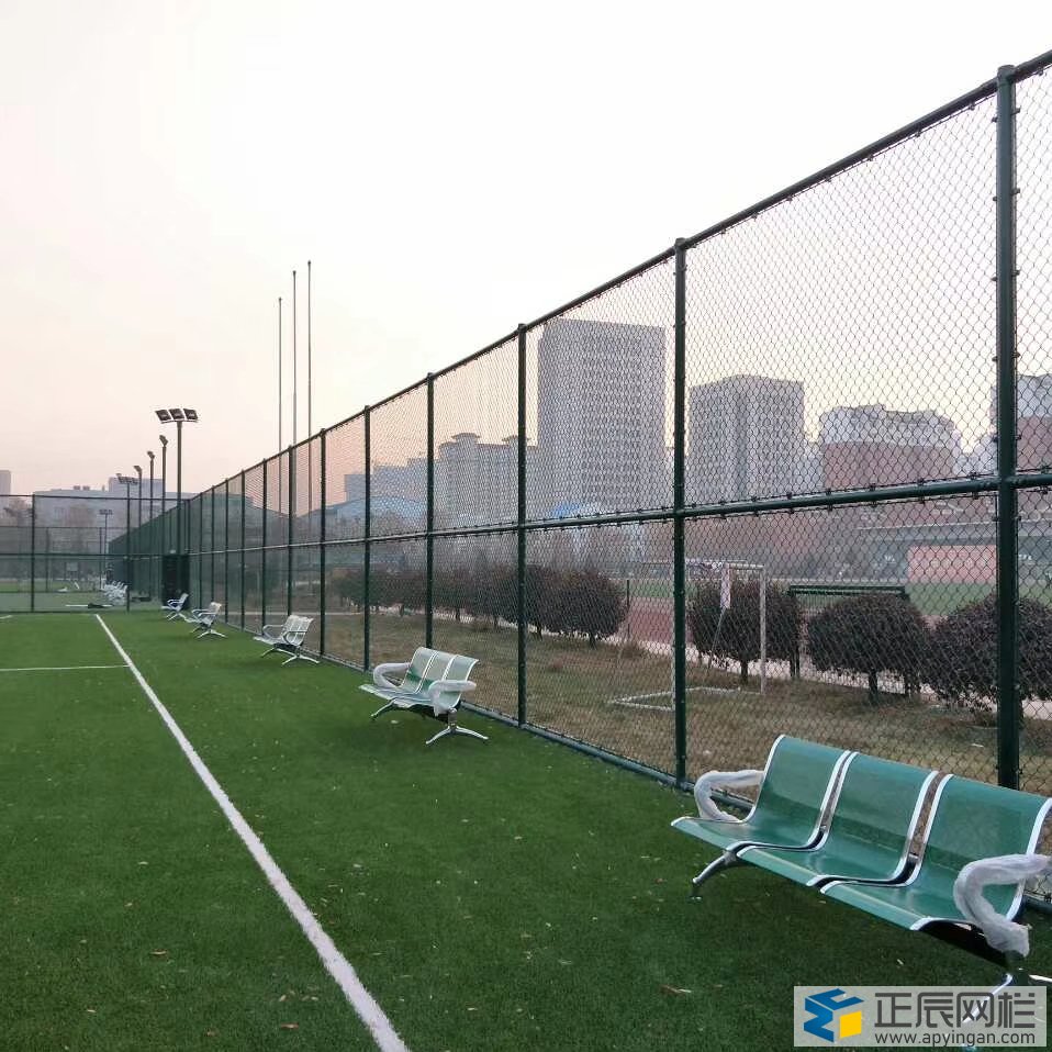 球場圍網(wǎng)圍欄