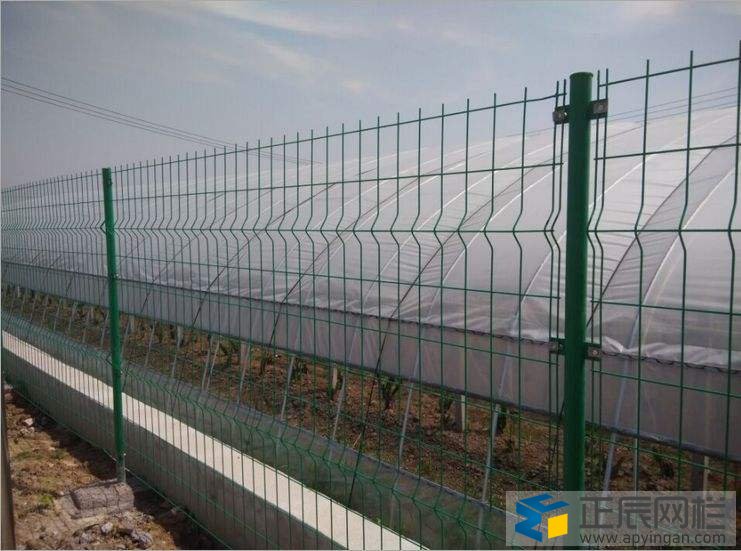 雙邊絲護欄網