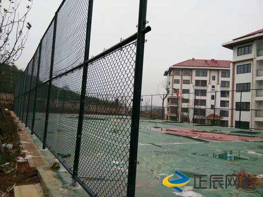 專(zhuān)業(yè)的球場(chǎng)圍欄網(wǎng)廠家