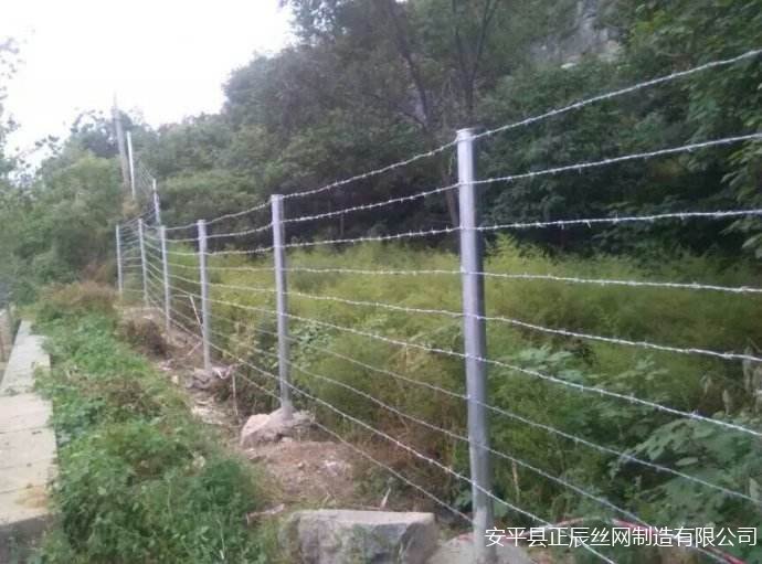 邊防護(hù)欄網(wǎng)